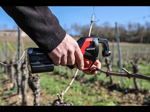 ACACIA INVERMIX 30-60 FI