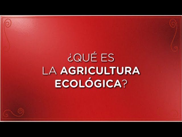 Cómo Utilizar el Marketing de Contenidos en la Agricultura Ecológica: Siembra Sostenibilidad