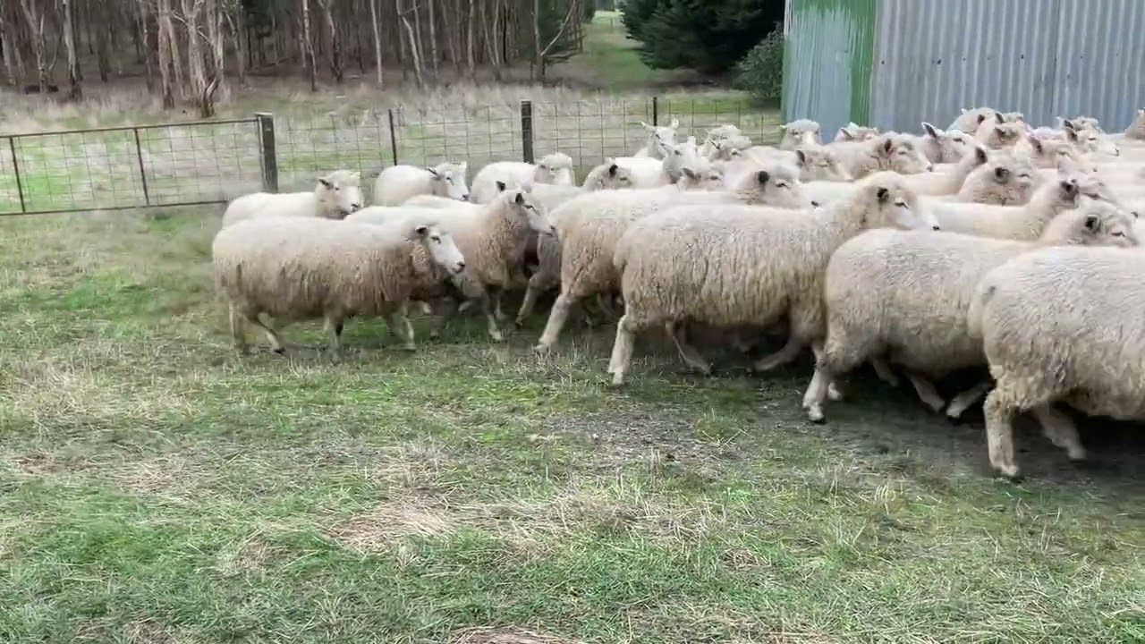 AMBOTO-INVESTMENTS-SIL-S.A | InfoAutonomo.es AMBOTO INVESTMENTS SIL S.A.