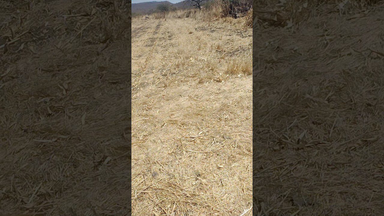 Cómo Utilizar el Marketing de Contenidos en la Agricultura Ecológica: Siembra Sostenibilidad