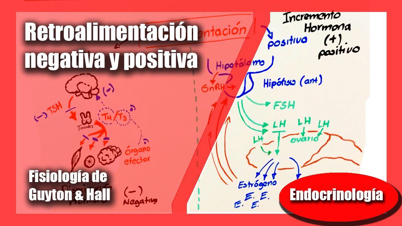 Cómo gestionar el feedback negativo en una startup de biotecnología