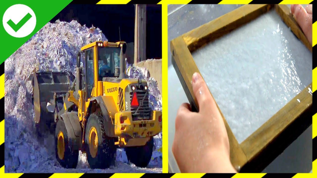 La Psicología del Consumidor en la Industria del Reciclaje de Papel: Transformando Historias