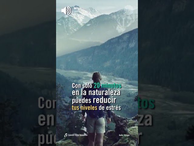 La-Psicologia-del-Consumidor-en-la-Industria-del-Turismo-Ecologico-Conexion-con-la-Naturaleza | InfoAutonomo.es La Psicología del Consumidor en la Industria del Turismo Ecológico: Conexión con la Naturaleza